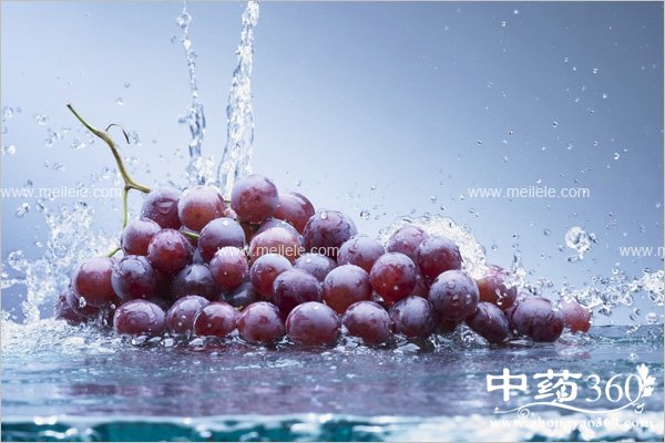 putaozidegongxiaoyuzuoyong