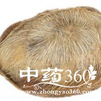 <a href='https://www.zhongyao360.com/z/shexiang/' target='_blank'></a>