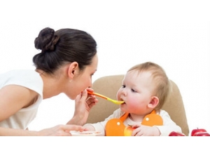 �����ݸ˾���Ӥ�׶�θ���������