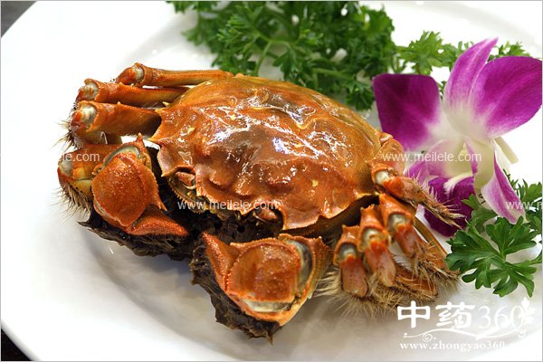 pangxieheshenmebunengyiqichi