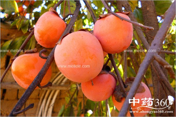 pangxieheshenmebunengyiqichi