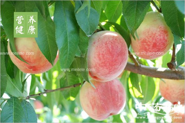 xuetaodeyingyangjiazhi