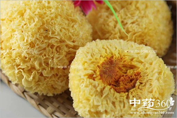 yinerlianzitangdegognxiao