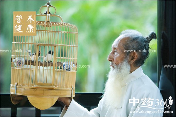 laonianrenchunjiyangsheng