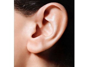 ע9󡰷ɹǡ ȫɹһ׵