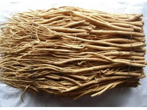 黄芪的功效与作用 黄芪的药用价值