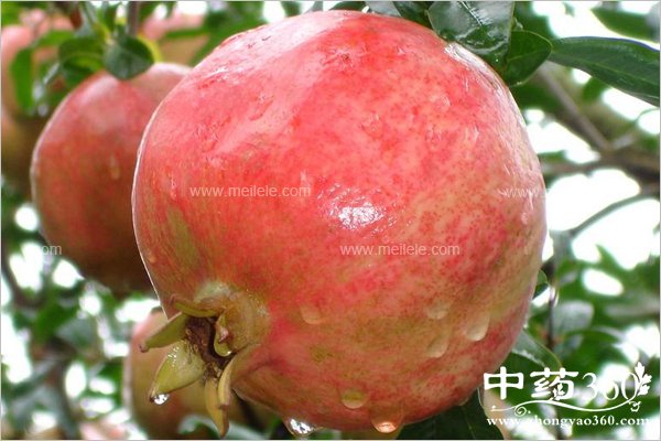 shliudegongxiaoyuzuoyong