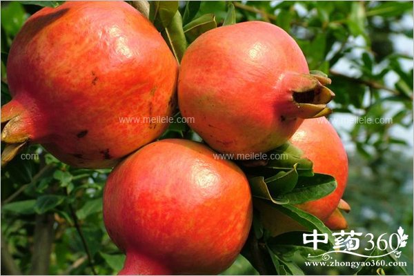 shliudegongxiaoyuzuoyong