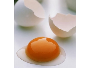 �Ե��ƺû��ǵ���ã�����͵����ĸ�����Ӫ��