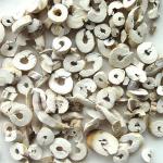 <a href='https://www.zhongyao360.com/z/danpi/' target='_blank'>Ƥ</a>