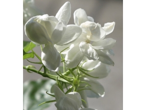 �и�������ʶ �������׹��� ����������ע��