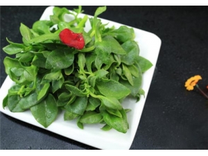 ������Ƭ ������Ƭ�Ĺ�Ч