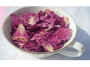 ����֢�»�������������spa