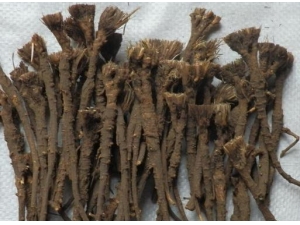 �ײ���Ĺ�Ч������ ���ò���ڷ�ҺҪע��