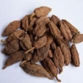 <a href='https://www.zhongyao360.com/z/caoguo/' target='_blank'>�ݹ�</a>