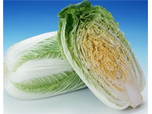 ��ײ˵Ĺ�Ч������ ƽ���ײ˲�ƽ��