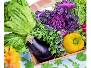 ���Ĳ˵Ĺ�Ч������ ��Ѫѹ���ߵ���ҩ