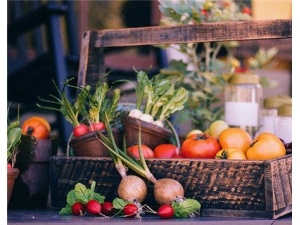 ���޲˵Ĺ�Ч������ ����Ӫ����ֵ��