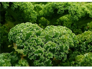 ���˵Ĺ�Ч������ �����߽�����