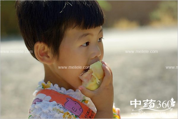 taozichiduolehuizenmeyang