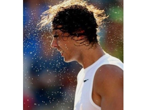 �ļ��쳣�����辯�� �������弲��