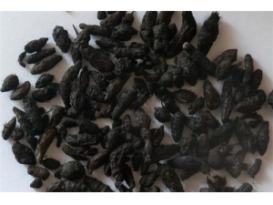 �㸽�ʹ��㸽������ �㸽������