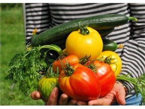 ����Ĺ�Ч������ �������ζ����