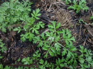 ��¶���Ǯһ�� �����ˮ�ȵĽ���