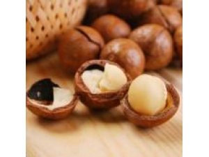 �����Ĺ�