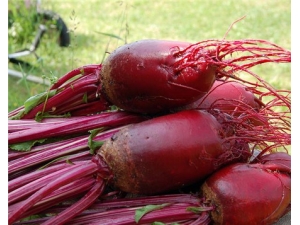 ��˸��Ĺ�Ч�����á������˽�������˸�