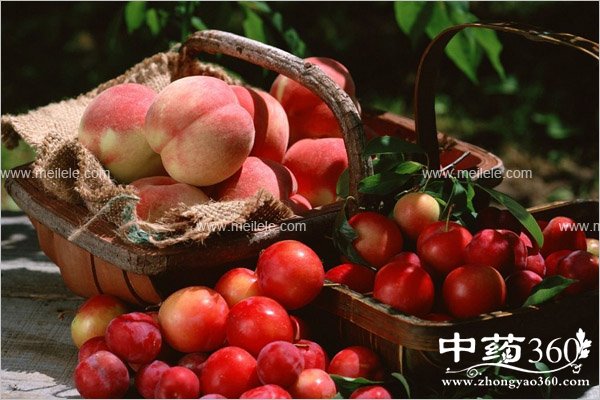 taozidegongxiaoyuzuoyong