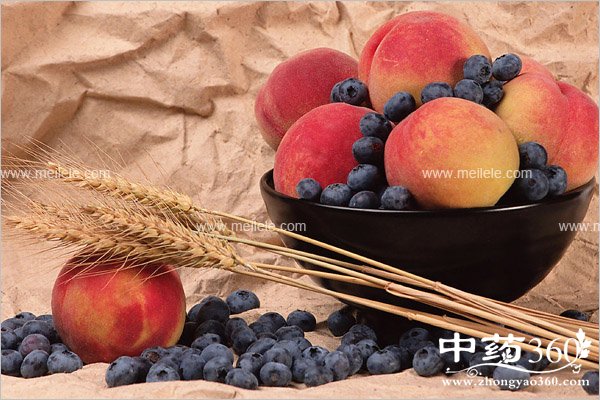 taozidegongxiaoyuzuoyong