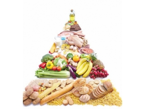 �����ʳϰ�ߺ����̵������������ʳϰ��