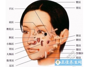 ���ϸ�����λ���ߵ��ԭ�� ��ʳ�Ʒ���