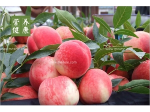 �ҵ�Ӫ����ֵ����Ч ��Ƚ����ҵĺô���