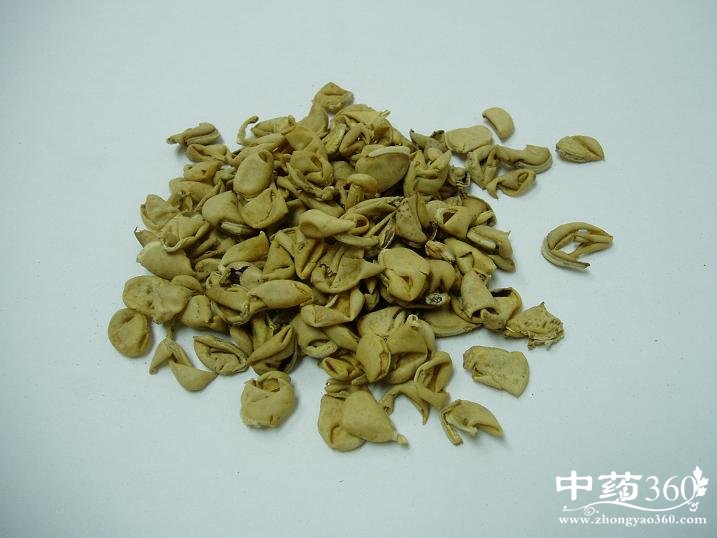 <a href='https://m.zhongyao360.com/z/biandou/'>ⶹ</a>