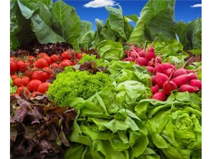 ���ܲ��Ĺ�Ч������ ��ǿ���������