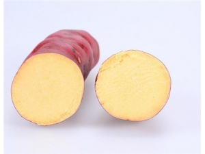 �����Ĺ�Ч������ �������������