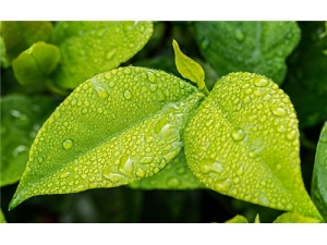 ������ʲô ������η��ö���