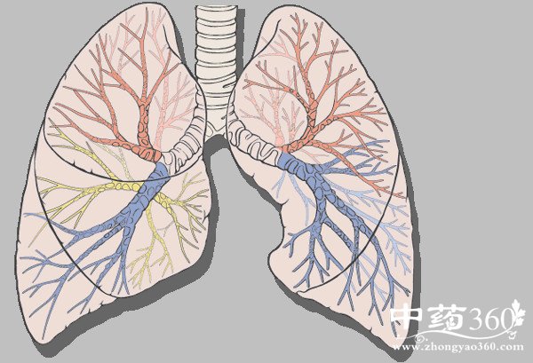 史上最全的人体裸体全图 - 玉郎 - 心有快乐事 分享有缘人