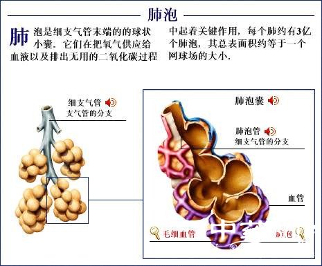 史上最全的人体裸体全图 - 玉郎 - 心有快乐事 分享有缘人