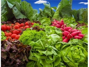 ӣ���ܲ��Ĺ�Ч������ Ӫ���ḻζ����