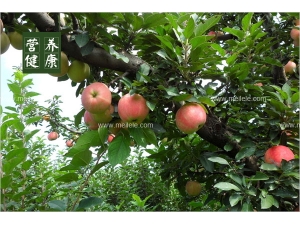 ÿһƻĺô ƻӪֵ⣡