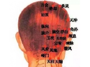 ��ͷ����Ƣ�����飡ͷ����������֪ʶȫ��