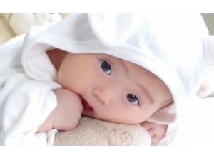 �＾С���������ȷ�ʳ��