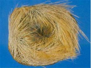 ����ҩ��ʲô ʹ�ÿ���ҩ��ע������