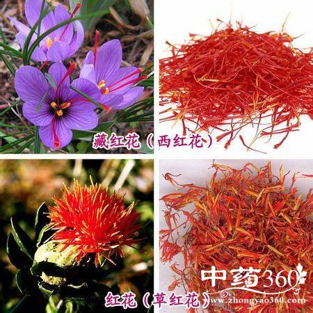 컨غ컨 컨غ컨ļ𷽷