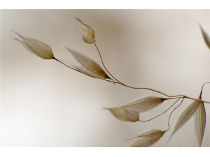 ݯ����Ĺ�Ч������ ��������ô���ó�