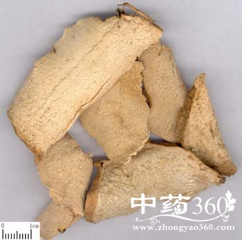 <a href='https://www.zhongyao360.com/z/fenbixie/' target='_blank'>Z</a>