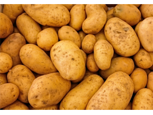 �������۵Ĺ�Ч������ ��θ��Ƣ���ô�